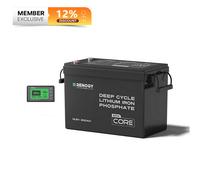 Core Mini - 12.8V 300Ah Lithium Iron Phosphate Battery with 500A Monitor