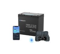 Core Mini - 12.8V Lithium Iron Phosphate Battery 300Ah / 200Ah / 100Ah - 100Ah / 1 Pack w/ Battery Shunt 300