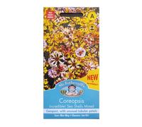 Coreopsis Seeds Grow Your Own Flowers Sea Shells Mixed Mr Fothergill's