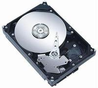 Coreparts HGST 24X7 1TB 3G SATA 7.2K Brand