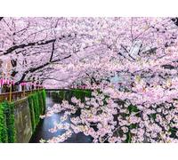 CORFOTO 1.5x1.2m Japan Tokyo Spring Cherry Blossom Backdrop Pink Cherry Bloom River Channel Photo Background Japanese Theme Party Decor Spring Japanese Travel Portrait Props