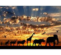 CORFOTO 1.5x1m African Animals Backdrop Great Migration of African Animals Sunset Photography Backdrop African Safari Theme Party Background African Sunset Scenery Backdrop Photo Booth Props
