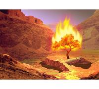 CORFOTO 1.5x1m Burning Bush on Mount Sinai Backdrop Fabric Desert Landscape and Fiery Bush Pattern Jewish Religious Theme Background for Events and Photo Booths