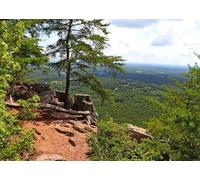 CORFOTO 1.5x1m Fabric Backdrop Mountain Overlook Beautiful Scenic Landscape Natural View with Pine Tree and Forest Valley View for Hiking Nature Photography