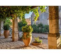 CORFOTO 1.5x1m Fabric Mediterranean Stone Courtyard Grape Trellis Clay Flower Pots Old Stone Building Green Plants Backdrop Rustic Village Portrait Background