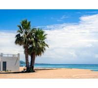 CORFOTO 1.5x1m Fabric Quiet Mediterranean Beach Two Fan Palm Trees Small White Brick House Light Sand Clear Blue Sea Backdrop Coastal Town Seaside Portrait Photography Background