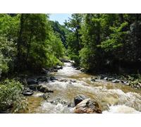 CORFOTO 1.5x1m Fabric Wild Forest Stream Crystal Clear Water Moss Covered Rocks Tall Green Trees Backdrop Fresh Outdoor Nature Photography Background for Casual Portrait Photo Booth