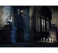 CORFOTO 1.5x1m Medieval Castle Backdrop Gothic Castle Interior Background Torches Prison Corridor Halloween Night Background Horrible Haunted House Backdrop Photo Shoot Props