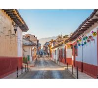 CORFOTO 1.5x1m Mexican Colonial Town Backdrop Fabric Colorful Street Floral Pots Pattern Latin American Theme Background Decor for Cinco de Mayo Party Travel Event Photo Booth Prop