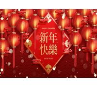 CORFOTO 1.8x1.2m Chinese Lanterns Photography Backdrop Lunar New Year Backdrop Traditional Spring Festival Red Lantern Background Happy Chinese New Year Backdrop Photo Studio Props