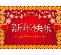 CORFOTO 1.8x1.2m Chinese New Year Backdrop Red Blessing Pattern Background Plum Blossom Lantern Decoration New Year Celebration Supplies Spring Theme Photo Booth Banner Lunar Festival Decor Props