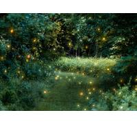 CORFOTO 1.8x1.2m Fabric Enchanted Forest Fireflies Glowing Greenery Night Backdrop Magical Nature Photography Background for Fantasy Style Shoot Photo Booth