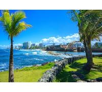 CORFOTO 1.8x1.2m Fabric Puerto Rico Coast Palm Trees Old Fort Turquoise Ocean Sunny Sky Backdrop Tropical Caribbean Portrait Photography Background