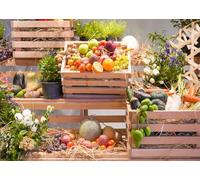 CORFOTO 1.8x1.2m Farm Fresh Market Display Backdrop Fabric Wooden Crates and Colorful Fruits Vegetables Pattern Country Harvest Theme Background for Events and Photo Booths