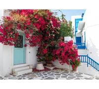 CORFOTO 1.8x1.2m Greece Flower Street Backdrop Greece Santorini Street Backdrop White Architectures Romantic Flowers Background Greece Theme Wedding Birthday Party Decor