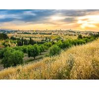 CORFOTO 1.8x1.2m Jerusalem Backdrop Jerusalem Old City Sunset Landscape Background Jerusalem Skyline Photography Background Jerusalem Dome of the Rock Dry Grassy Hill Photo Backdrop Photoshoot
