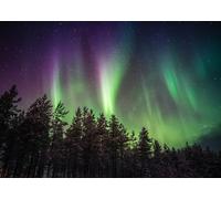 CORFOTO 2.1x1.5m Fabric Backdrop Northern Lights Bright Starry Night Winter Magic with Green Aurora Over Snowy Pine Forest for Magical Nature Photography