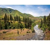 CORFOTO 2.1x1.5m Hells Canyon Nature Landscape Backdrop Green Mountain River Landscape Photography Backdrop Mountain Forest Outdoor Scenery Backdrop Travel Portrait Photo Booth Prop