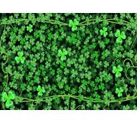 CORFOTO 2.1x1.5m St. Patrick's Day Cloverleaf Backdrops Green Clover Theme Banners Backgrounds Irish Shamrock Decoration Birthday Party Photo Booth Shoot Studio Props
