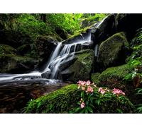 CORFOTO 2.1x1.5m Waterfall Photography Backdrop Jungle Mountain Forest River Stream Lake Landscape Background Waterfalls Backdrop Decor Photo Studio Shoot Props