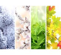 CORFOTO 2.1x1.5m Winter Spring Summer Autumn Branches Backdrop Four seasons of year Photography Background Four Seasons Scenery Backdrop Nature Weather Class Decor Photo Booth Studio Props