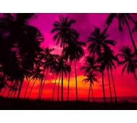 CORFOTO 2.5x1.8m Fabric Tropical Beach Sunset with Palm Silhouettes Colorful Sky Gentle Waves and Soft Sand Backdrop for Summer Holiday Party Photography Background