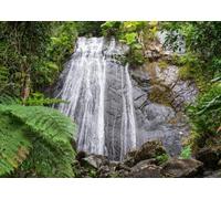 CORFOTO 2.5x1.8m Fabric Tropical Rainforest Waterfall Dark Wet Rock Wall Lush Green Fern Exotic Jungle Foliage Backdrop Wild Nature Outdoor Portrait Photography Background