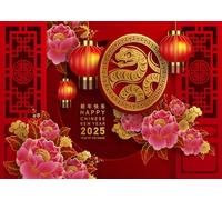 CORFOTO 2.5x1.8m Happy Chinese New Year Backdrop 2025 Snake Zodiac Sign Photography Background Flower Lantern Asian Paper Cut Elements Red Backdrop 2025 Lunar New Year Party Photo Booth