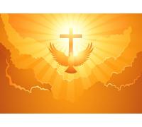 CORFOTO 2.7x1.8m Ascension Day Holy Spirit Dove Backdrop Pentecost Dove Backdrop Holy Spirit Christian Party Backdrop Religious Baptism Dove Decorations Church Party Decoration