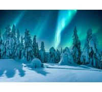 CORFOTO 2.7x1.8m Aurora Borealis Background Winter Scene Polar Lights Photography Backdrop Snow Pine Trees Backdrop Snowy Igloo Background Christmas Village Decor Backdrop Photo Booth