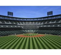 CORFOTO 2.7x1.8m Baseball Stadium Backdrop Fabric Empty Ballpark Green Grass Diamond Pattern Sports Theme Background Decor for Baseball Party Birthday Event Photo Booth Prop