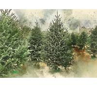 CORFOTO 2.7x1.8m Frasier Fir Christmas Tree Farm Backdrop Watercolor Xmas Trees Picture Photography Background Winter New Year Eve Party Decorations for Kids Photo Props