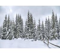 CORFOTO 2.7x1.8m Snow Covered Forest Backdrop Evergreen Pines Trees Snowy Photography Background Winter Outdoor Cold and Peaceful Scenery Photo Backdrops Xmas Decor Shoot Props