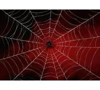 CORFOTO 20x10FT (6x3m) Red Spider Web With Black Photography Backdrop