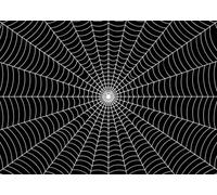 CORFOTO 20x10FT (6x3m) White Radial Spider Web Photography Backdrop