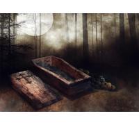 CORFOTO 3.5x2.5m Dark Forest Backdrop Old Wooden Coffin Horror Moon Night Scary Cemetery Photography Backdrop Gloomy Grove Mystery Vampire Background Halloween Party Decor Photo Booth
