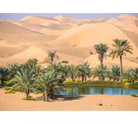 CORFOTO 3.5x3m Desert Landscape Backdrop Africa Sahara Desert Palms Oasis Backdrop Natural Scenery Backdrop Wilderness Birthday Party Photoshoot Studio Props