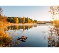 CORFOTO 3x2.5m Fabric Quiet Autumn Lake Misty Water Surface Colorful Maple Tree Reflections Small Wooden Dock Reeds Backdrop Fall Country Nature Outdoor Portrait Photography Background