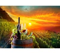 CORFOTO 3x2.5m Fabric Wooden Wine Barrel Red White Wine Bottles Fresh Grape Clusters Golden Vineyard Sunset Sky Backdrop Winery Fruit Farm Landscape Portrait Photography Background Photo Booth
