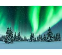 CORFOTO 3x2m Aurora Borealis Photo Backdrop Northern Lights Winter Forest Photography Background Polar Lights Sky Snow Landscape Background Winter Night Pine Tree Forest Xmas Decor