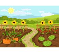CORFOTO 3x2m Cartoon Garden Background Harvest Time Vegetable Garden Photography Backdrop Agricultural Plants Backdrop Farm Theme Kids Birthday Cake Table Photo Booth