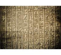 CORFOTO 3x2m Egypt Temple Hieroglyphs Backdrop Egypt Mural Background History Course Photography Background Egypt Theme Party Decoration Photo Booth