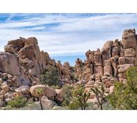 CORFOTO 3x2m Fabric Backdrop Joshua Tree Desert Landscape with Large Rock Formations, Desert Shrubs and Bright Blue Sky for Outdoor Adventure Photography