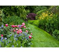 CORFOTO 3x2m Fabric Backdrop Lush Flower Garden Path with Blooming Pink Peonies, Blue Wildflowers and Green Foliage for Fresh Spring Nature Photography