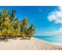 CORFOTO 3x2m Fabric Tropical White Sand Beach Dense Tall Coconut Palm Trees Crystal Turquoise Ocean Seagull Fluffy White Cloud Sky Backdrop Summer Resort Holiday Portrait Photography Background