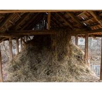 CORFOTO 3x2m Old Farm Barn Backdrop Haystack Country Farmhouse Photoshoot Baby Shower Birthday Party Nativity Decoration Kids Adults Portraits Photo Studio Props