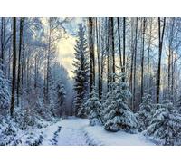 CORFOTO 4.5x2.5m Winter Forest Backdrop Winter Snowy Forest Background Christmas Winter Wonderland Backdrop Christmas New Year Backdrop Winter Portrait Photo Studio Booth Props