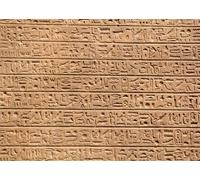 CORFOTO 4.5x3m Egyptian Hieroglyphs Wall Backdrop Egyptian Mural Backgrounds Ancient Egyptians Civilization Photography Background History Travel YouTube Booth Wall Mural Studio Prop