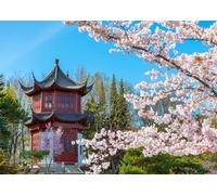 CORFOTO 4.5x3m Fabric Backdrop Chinese Garden Pavilion with Cherry Blossoms, Red Traditional Architecture and Clear Blue Sky for Spring Nature Photography
