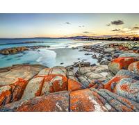 CORFOTO 4.5x3m The Bay of Fires Gardens Reserve Photo Backdrop White Sand Beach Australia East Coast Nature Landscape Photography Background Travel Vacation Portrait Photo Booth